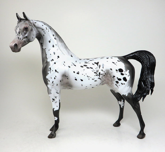 chances are appaloosa