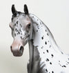 CHANCES ARE-OOAK APPALOOSA ARABIAN MODEL HORSE 4/8