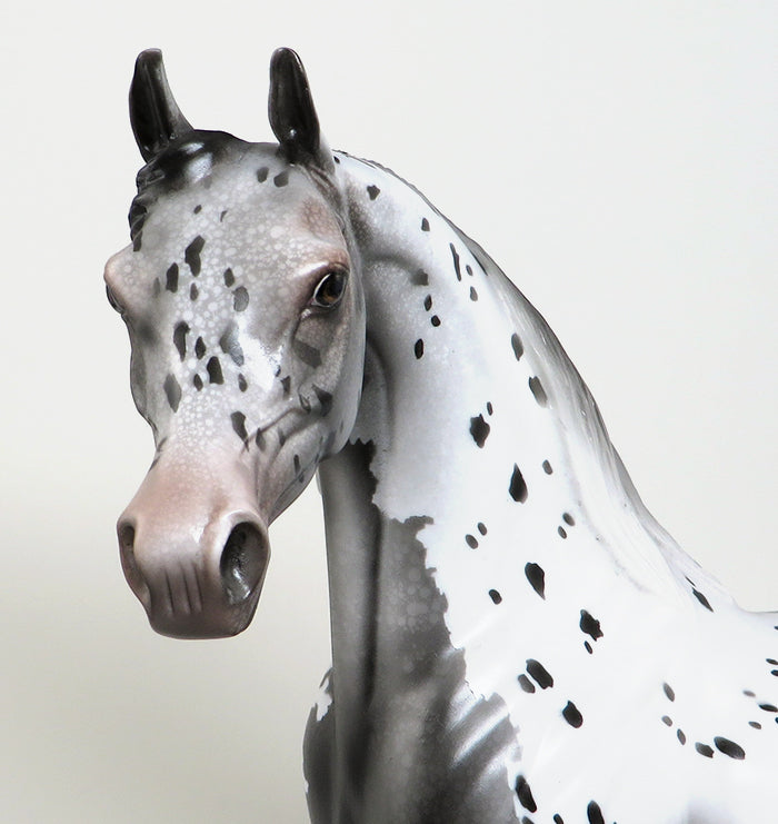 CHANCES ARE-OOAK APPALOOSA ARABIAN MODEL HORSE 4/8