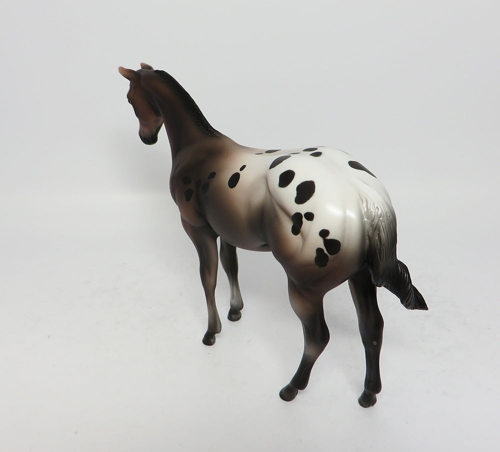 Appaloosa