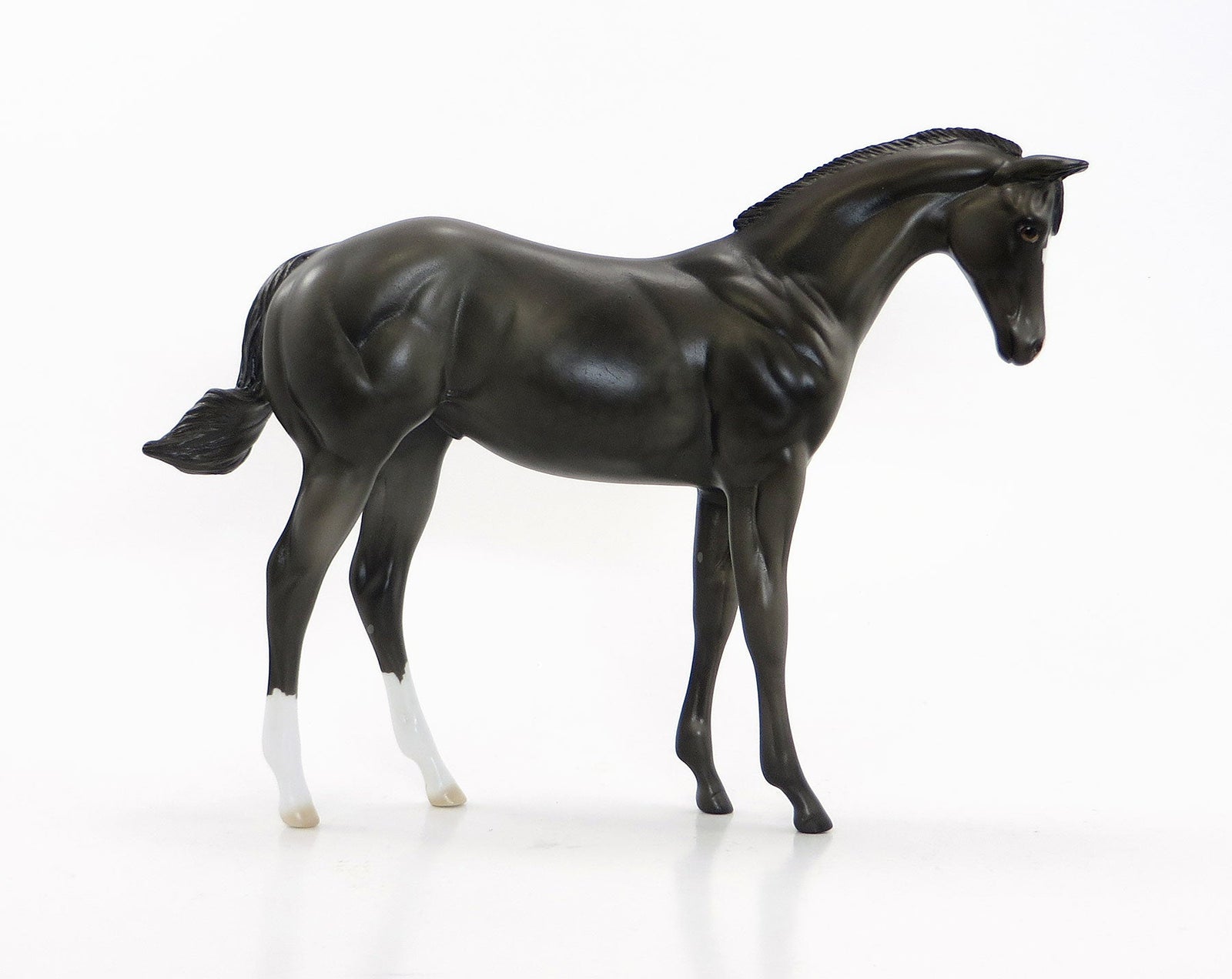 BANZAI - OOAK Dapple Gray Weanling Colt 7/10