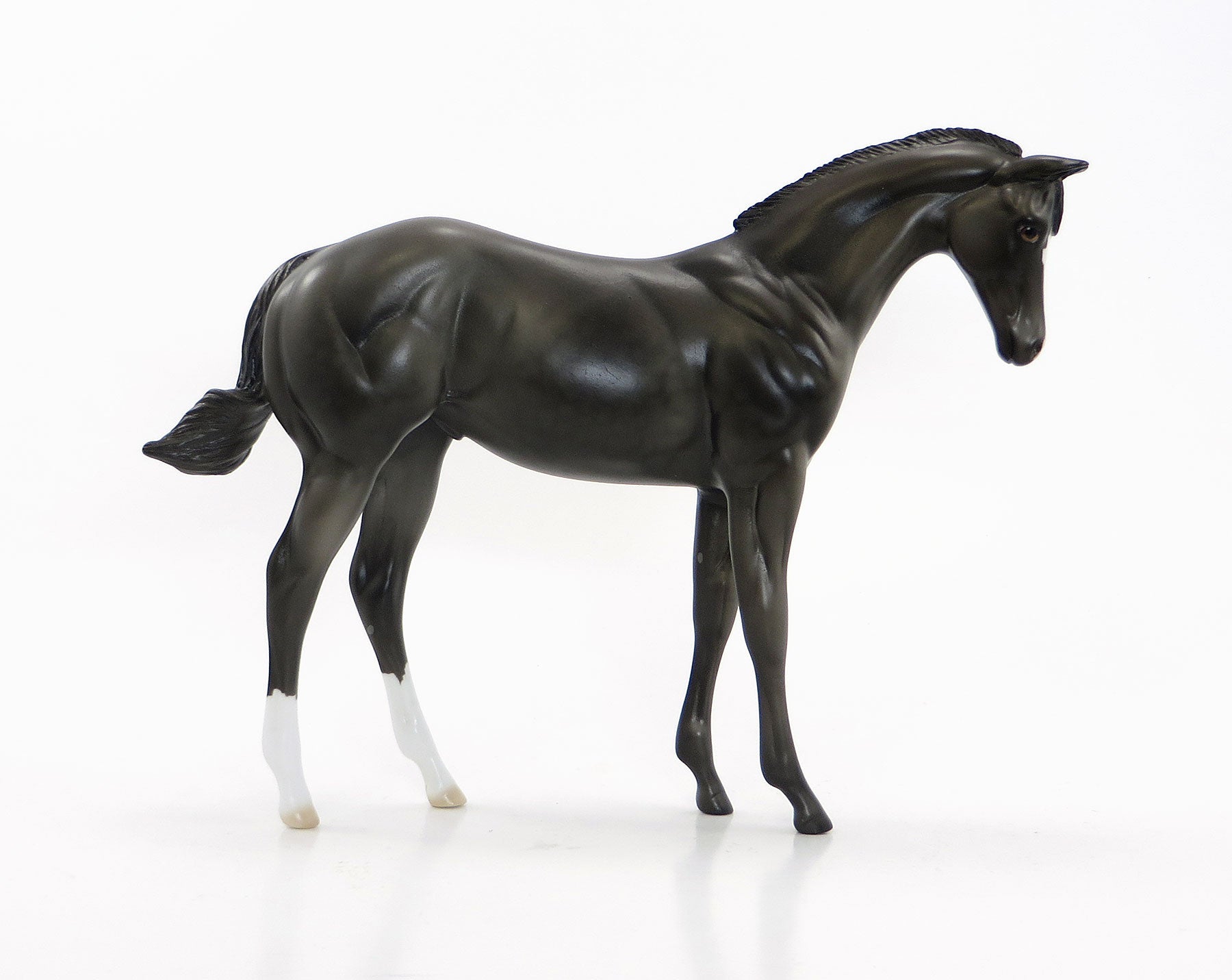 BANZAI - OOAK Dapple Gray Weanling Colt 7/10