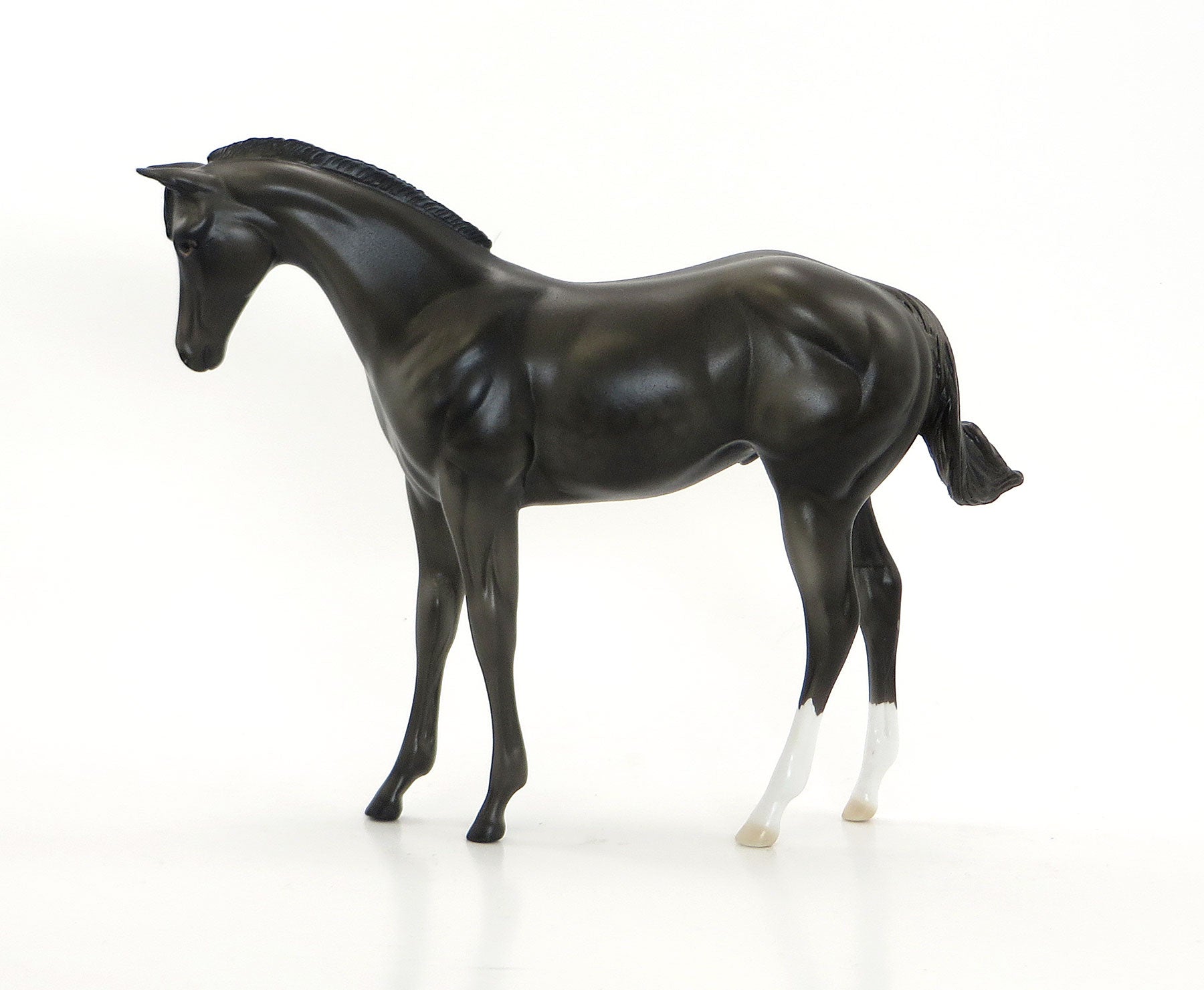 BANZAI - OOAK Dapple Gray Weanling Colt 7/10