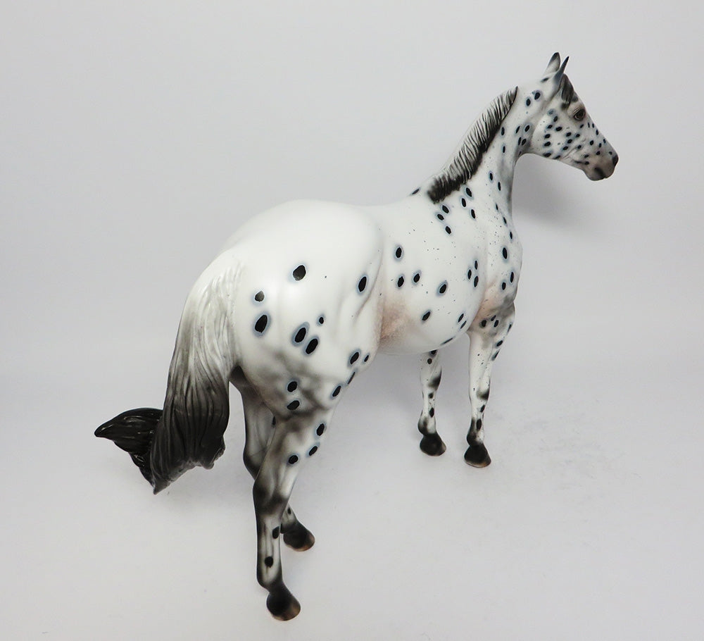 Appaloosa