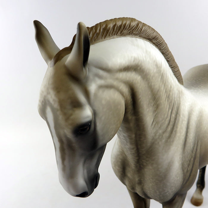 ASHES-OOAK MOTTLED GREY ANDLALUSIAN MARE MODEL HORSE BY ALLEN KATT FOR MOONLIGHT MADNESS 10/7/16