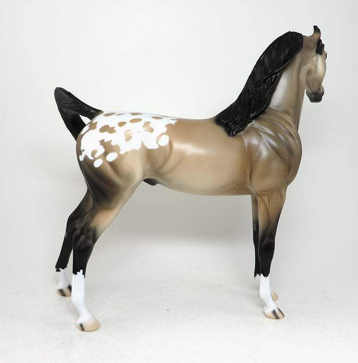 appaloosa
