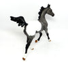 No Spot Appaloosa