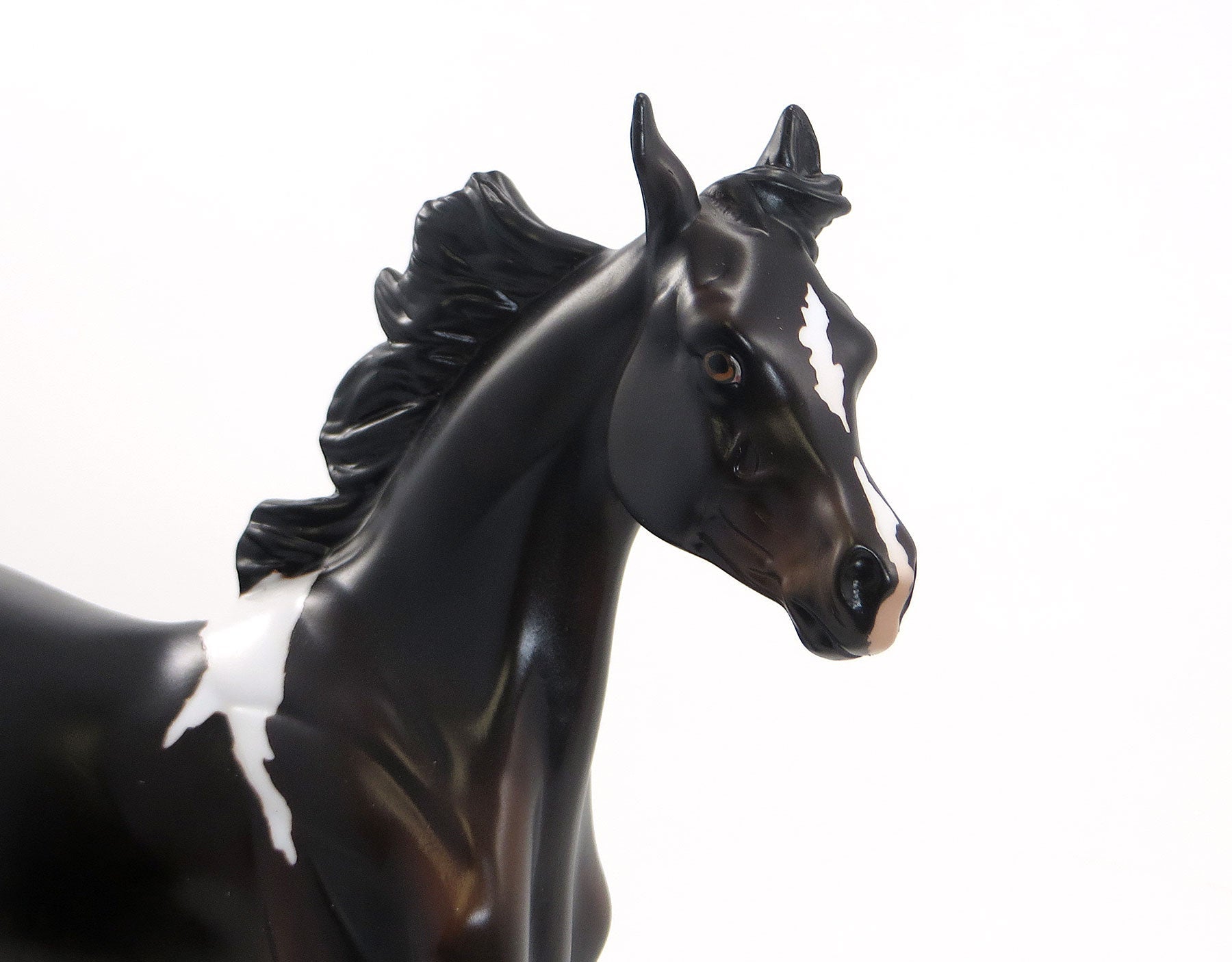 LITTLE SARABI - Dapple Seal Bay Pinto Yearling Model Horse - LE15 - 7/10