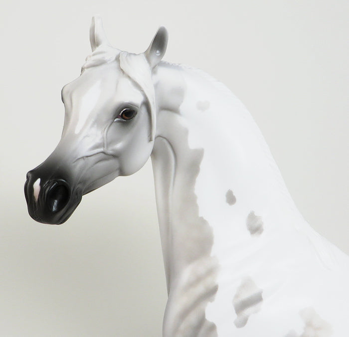 WAUNAKEE-LE-2 DAPPLE GREY PAINT ARABIAN MODEL HORSE 4/21