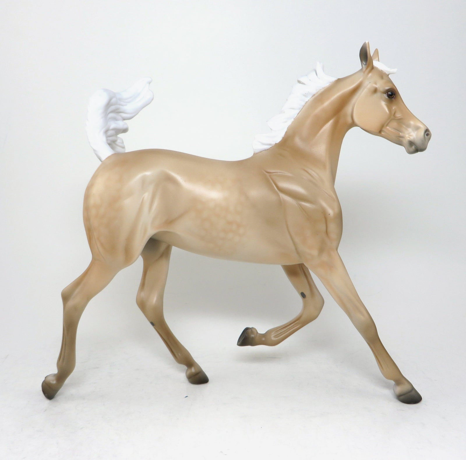 dapple palomino yearling mequon