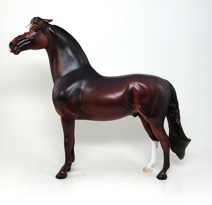 pinned ear bay morgan triumph