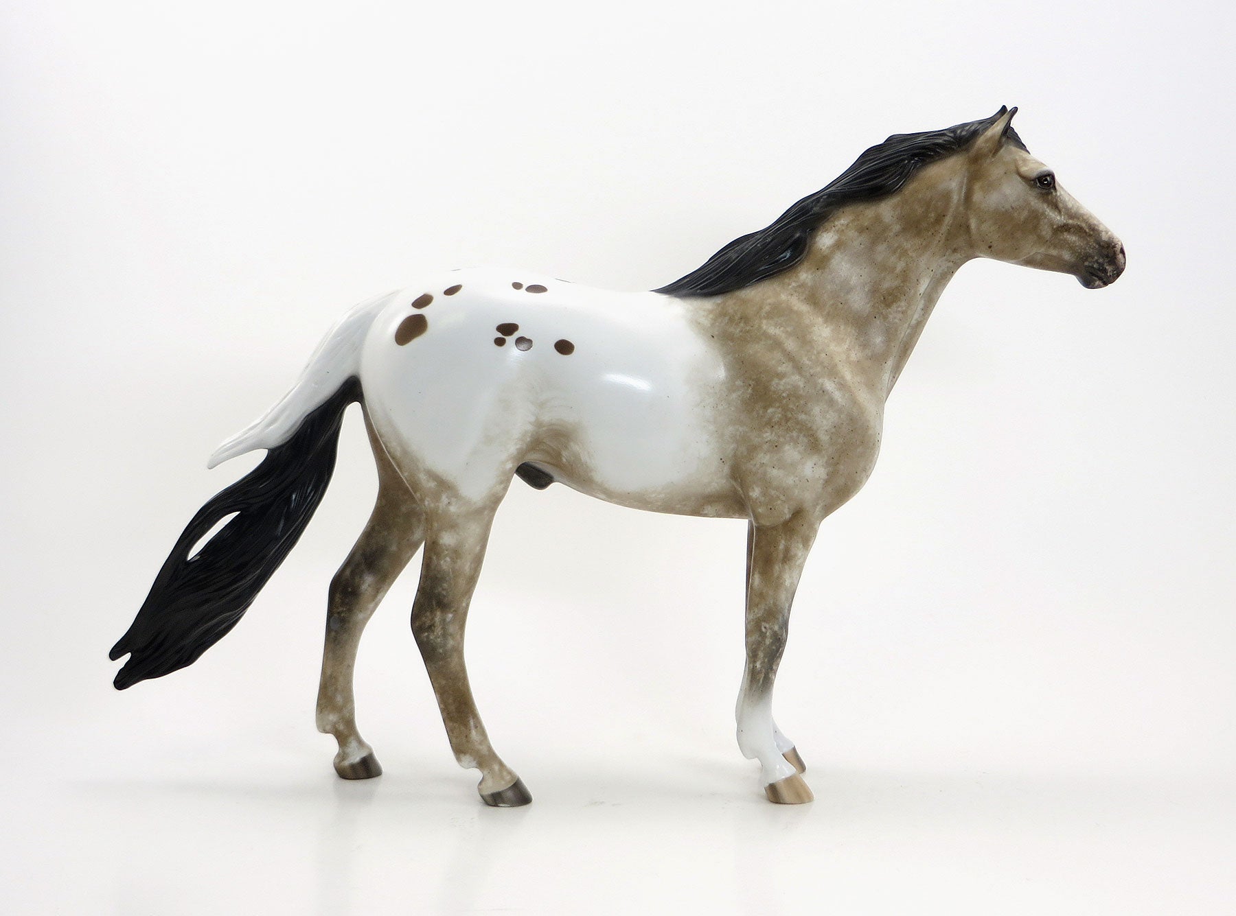 Appaloosa Mustang Limited Edition