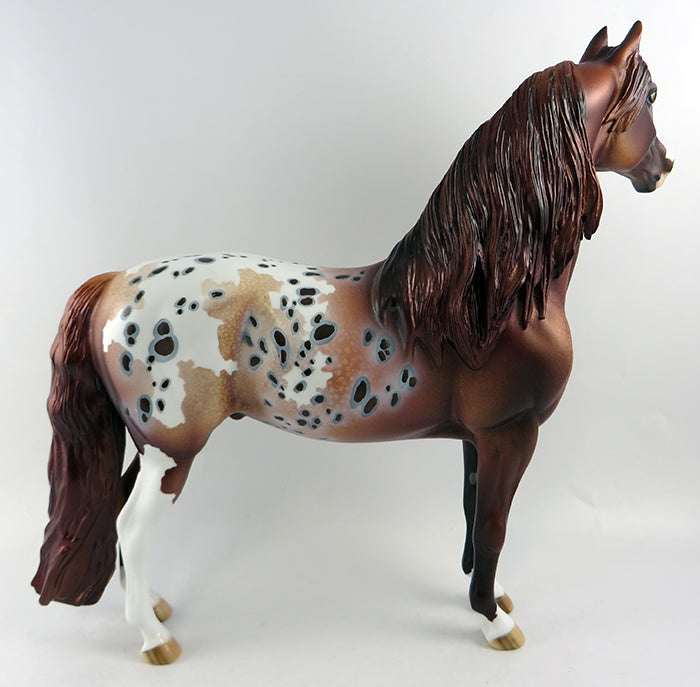 BRONZE KING~OOAK CHESTNUT APPALOOSA MORGAN MODEL HORSE 10/11/16