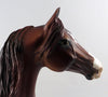 BRONZE KING~OOAK CHESTNUT APPALOOSA MORGAN MODEL HORSE 10/11/16
