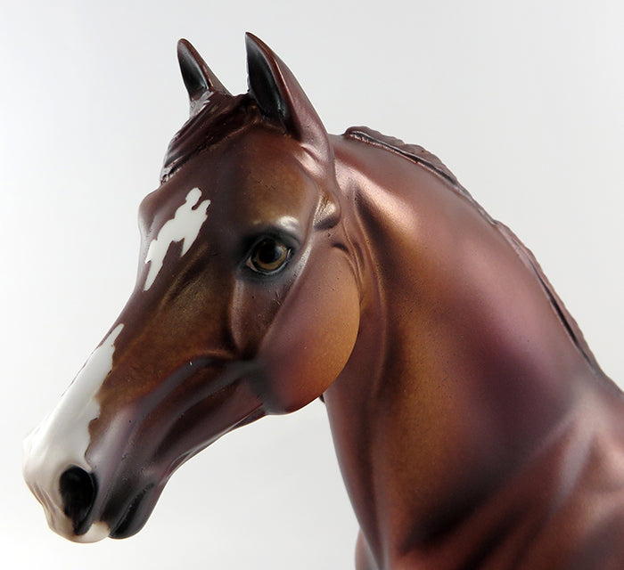 BRONZE KING~OOAK CHESTNUT APPALOOSA MORGAN MODEL HORSE 10/11/16