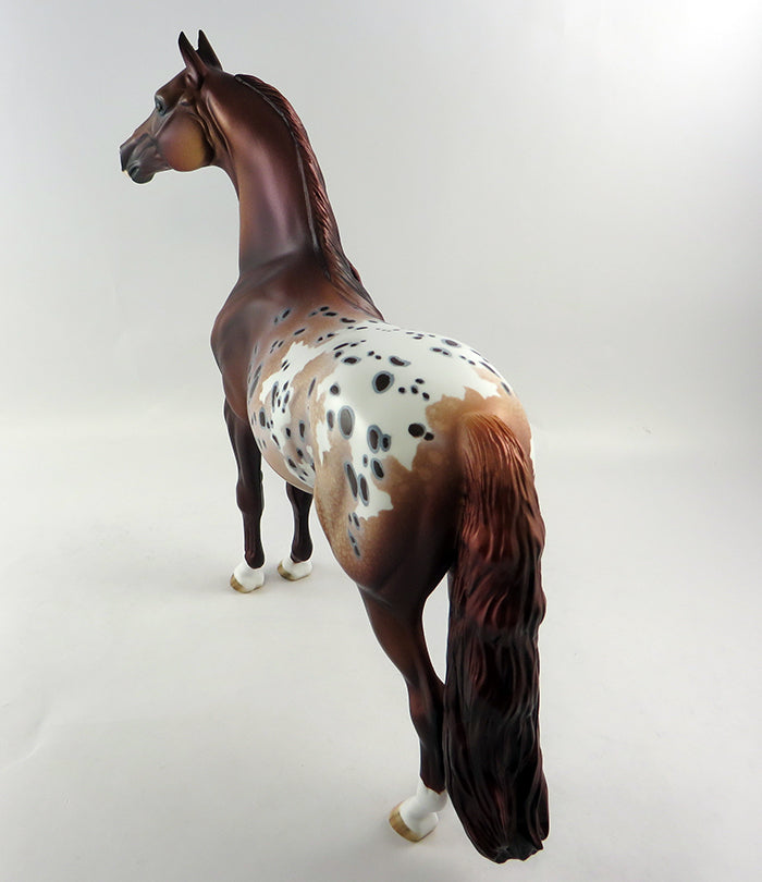 BRONZE KING~OOAK CHESTNUT APPALOOSA MORGAN MODEL HORSE 10/11/16