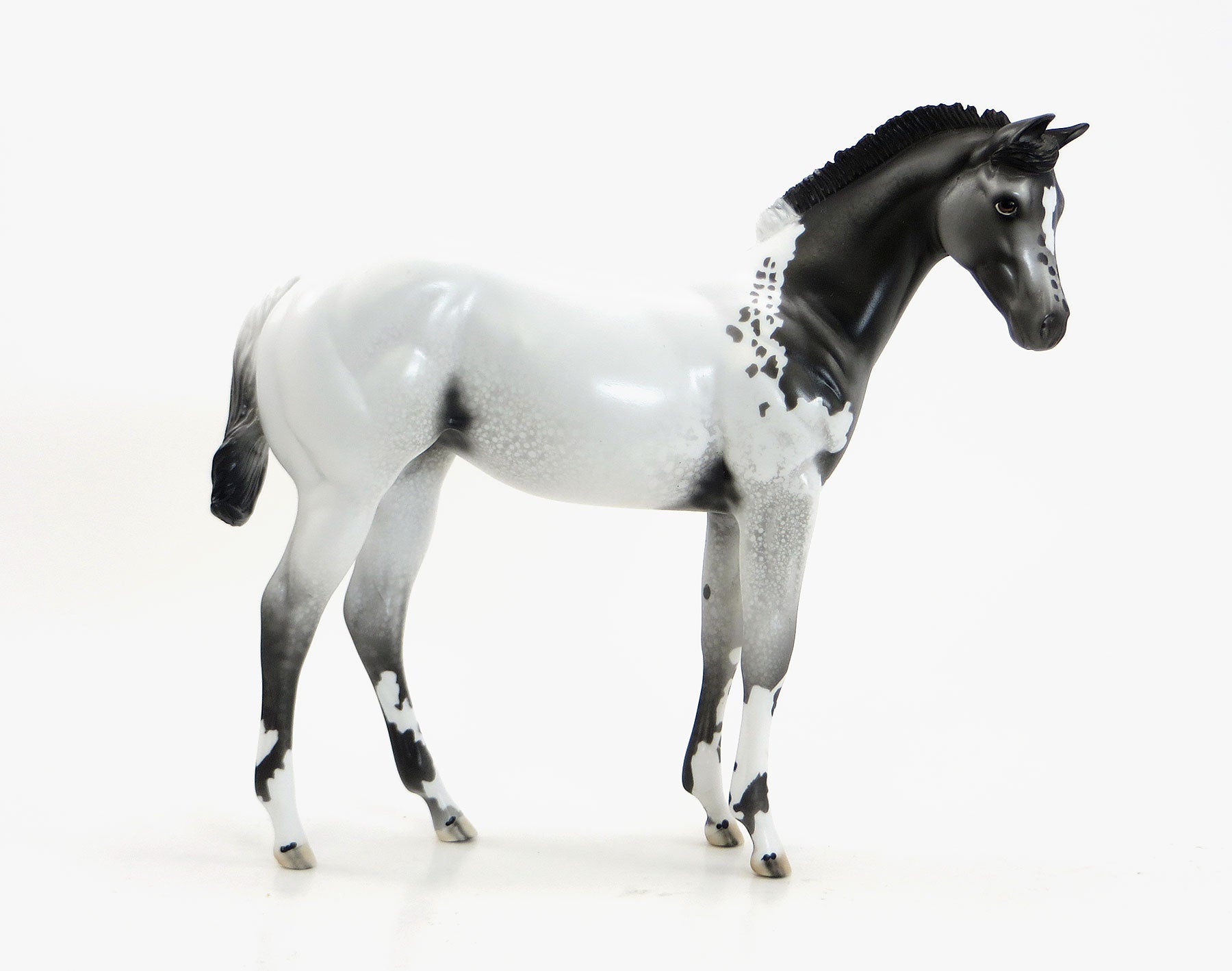 SPOTS A' SCOOTIN - Extreme Blanketed Appaloosa Weanling Model Horse - LE10 - EQ 2015 - 7/23