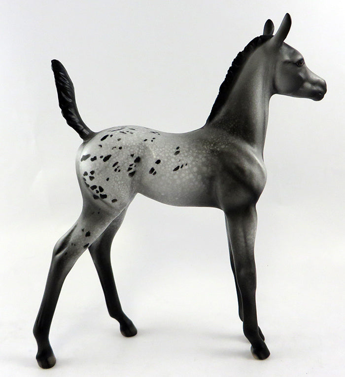 SCAT CAT-OOAK APPALOOSA FOAL MODEL HORSE 10/11/16