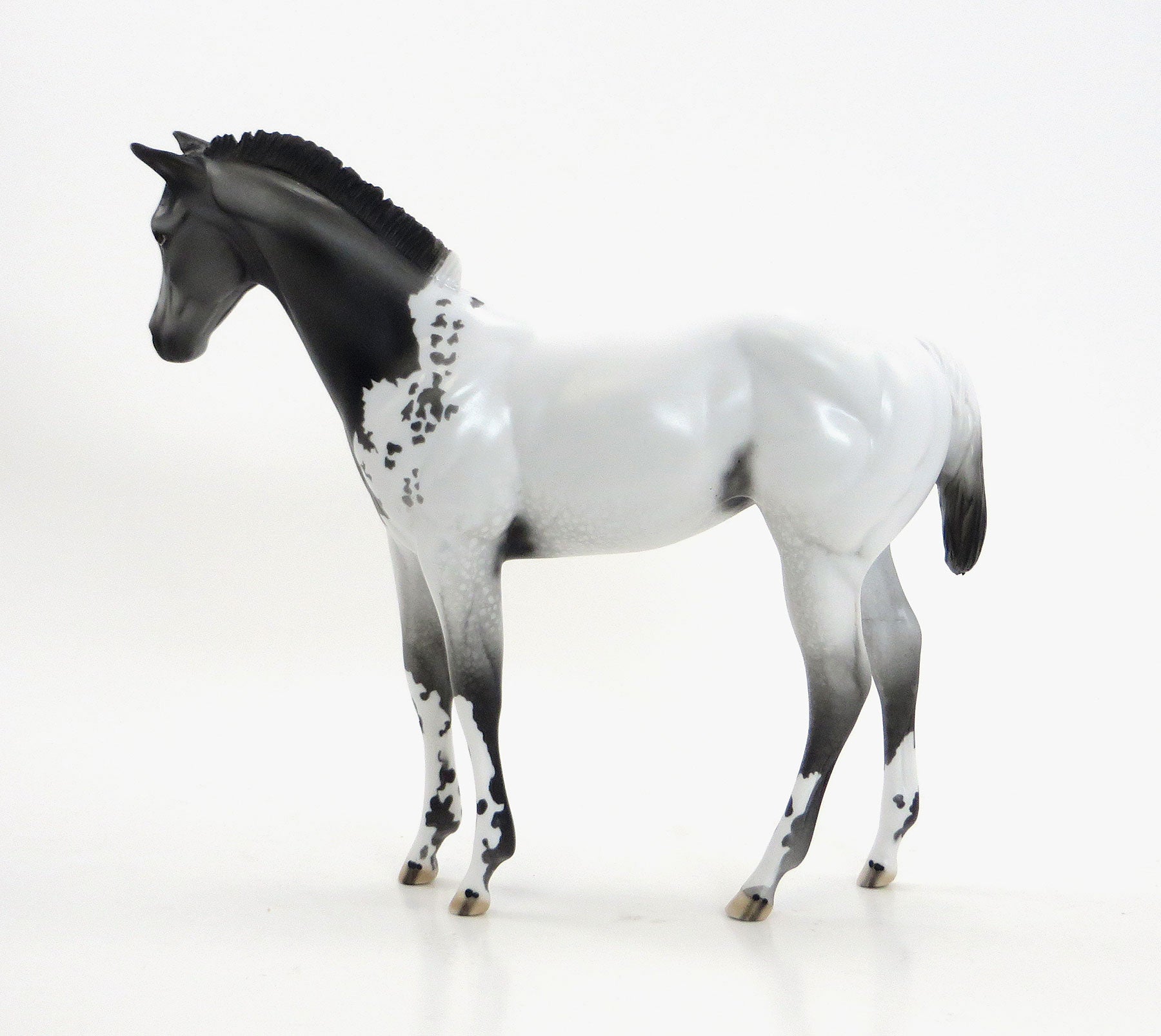 SPOTS A&#39; SCOOTIN - Extreme Blanketed Appaloosa Weanling Model Horse - LE10 - EQ 2015 - 7/23