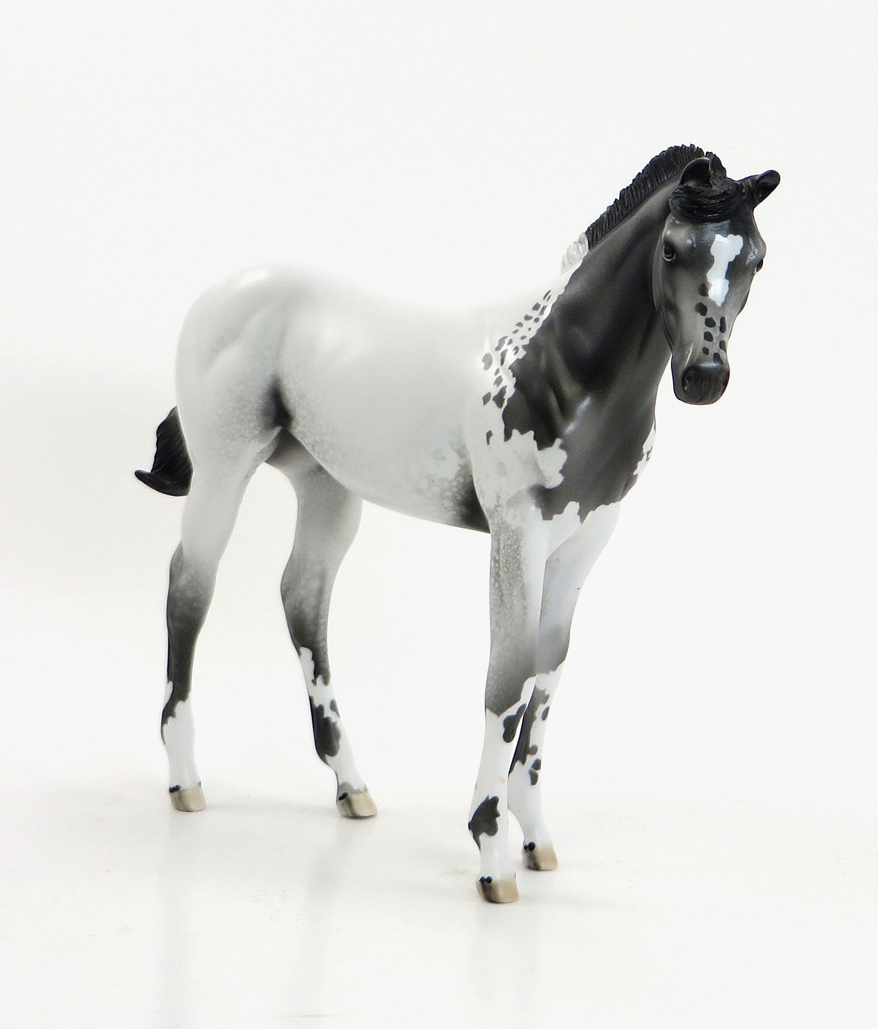SPOTS A&#39; SCOOTIN - Extreme Blanketed Appaloosa Weanling Model Horse - LE10 - EQ 2015 - 7/23