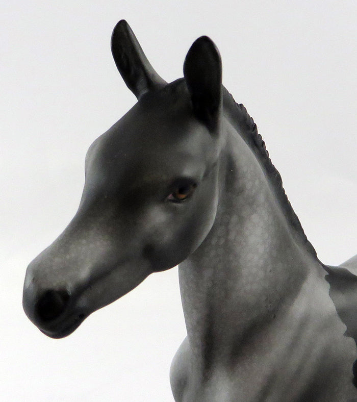 SCAT CAT-OOAK APPALOOSA FOAL MODEL HORSE 10/11/16