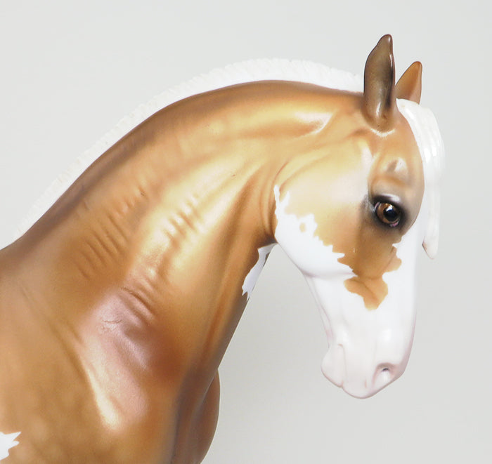 dapple palomino paint 