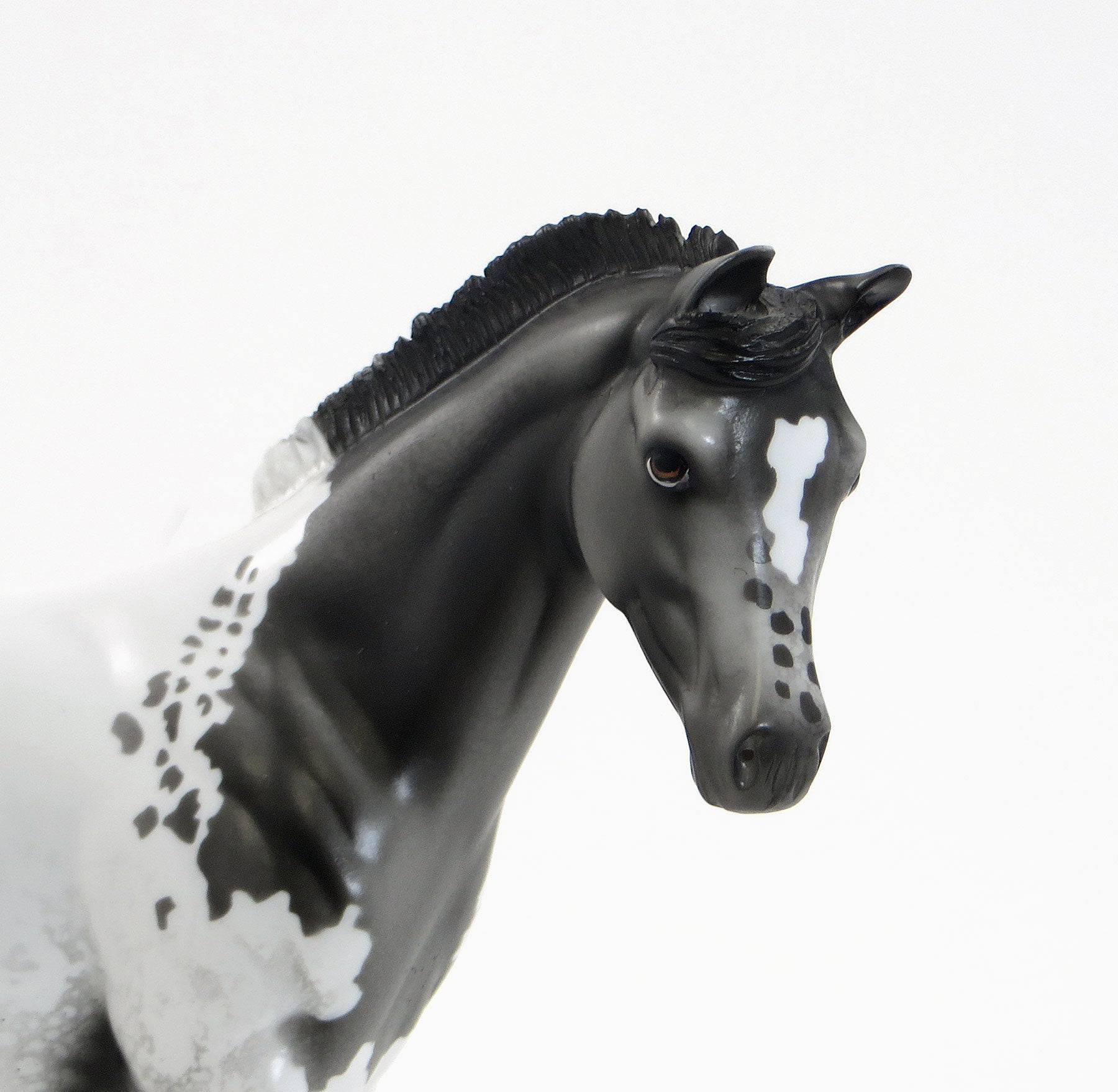 SPOTS A&#39; SCOOTIN - Extreme Blanketed Appaloosa Weanling Model Horse - LE10 - EQ 2015 - 7/23