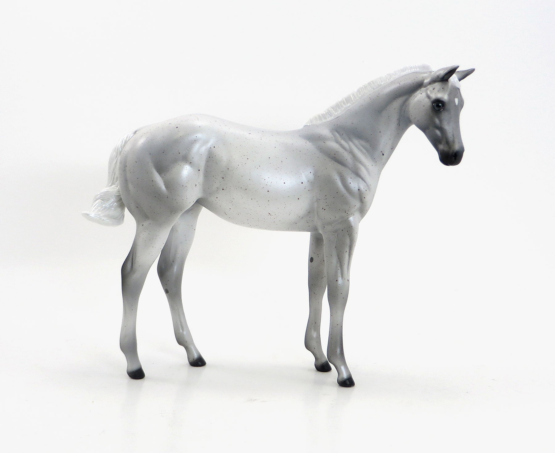 QUEEN ANNE'S LACE - 2015 Limited Edition Flea Bitten Weanling 7/23