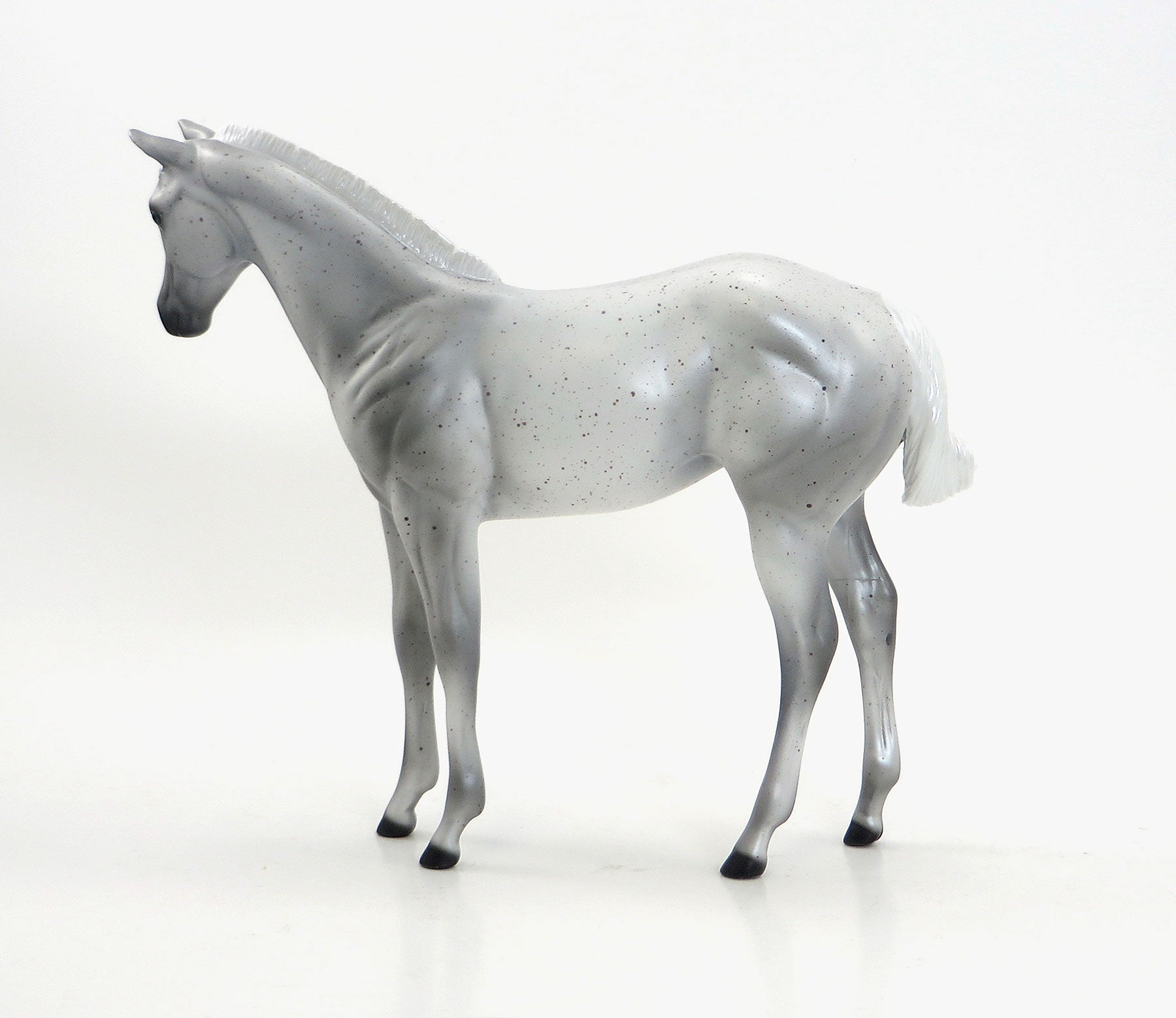 QUEEN ANNE&#39;S LACE - 2015 Limited Edition Flea Bitten Weanling 7/23