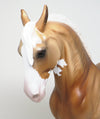 blue eye palomino