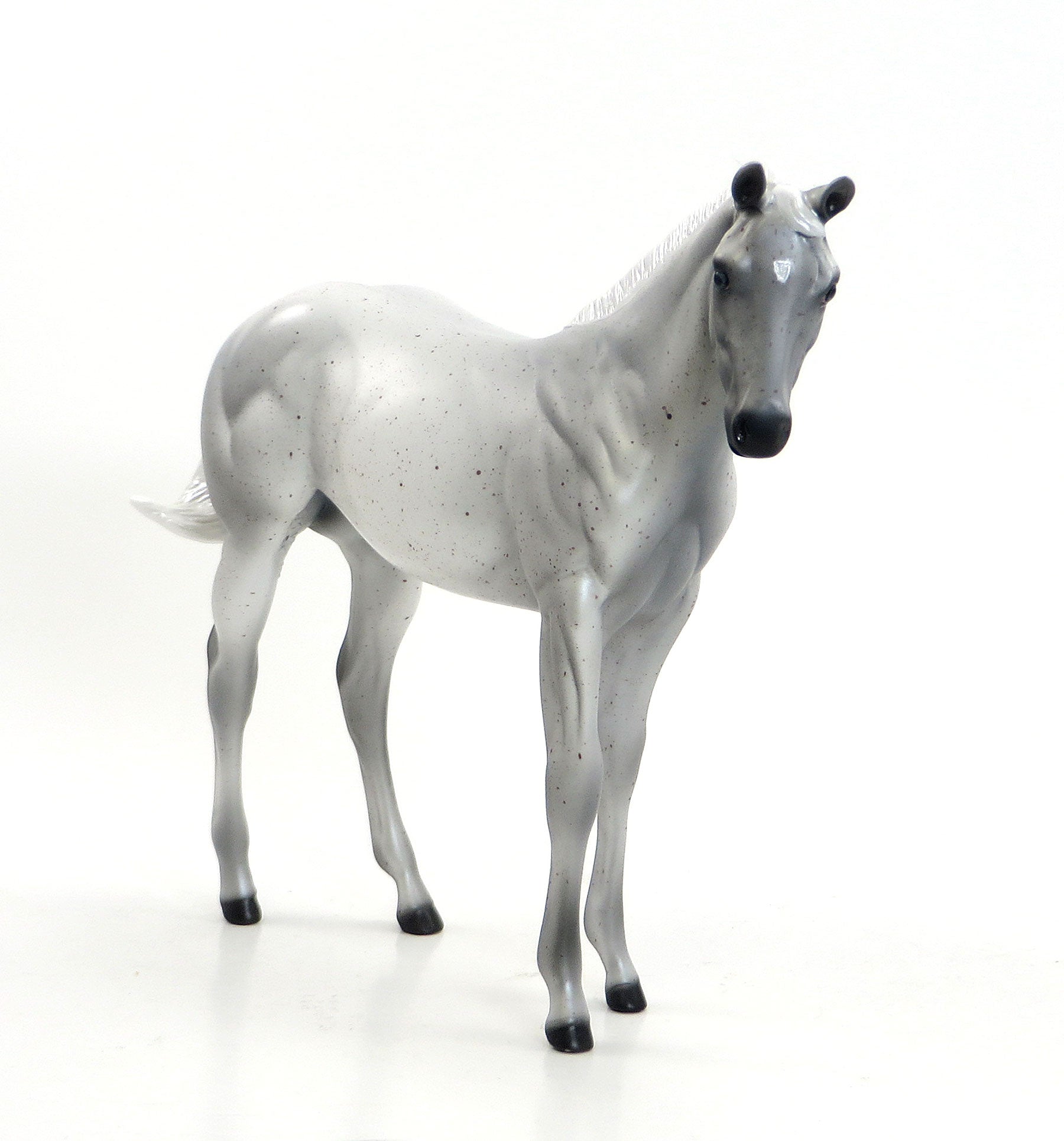 QUEEN ANNE&#39;S LACE - 2015 Limited Edition Flea Bitten Weanling 7/23