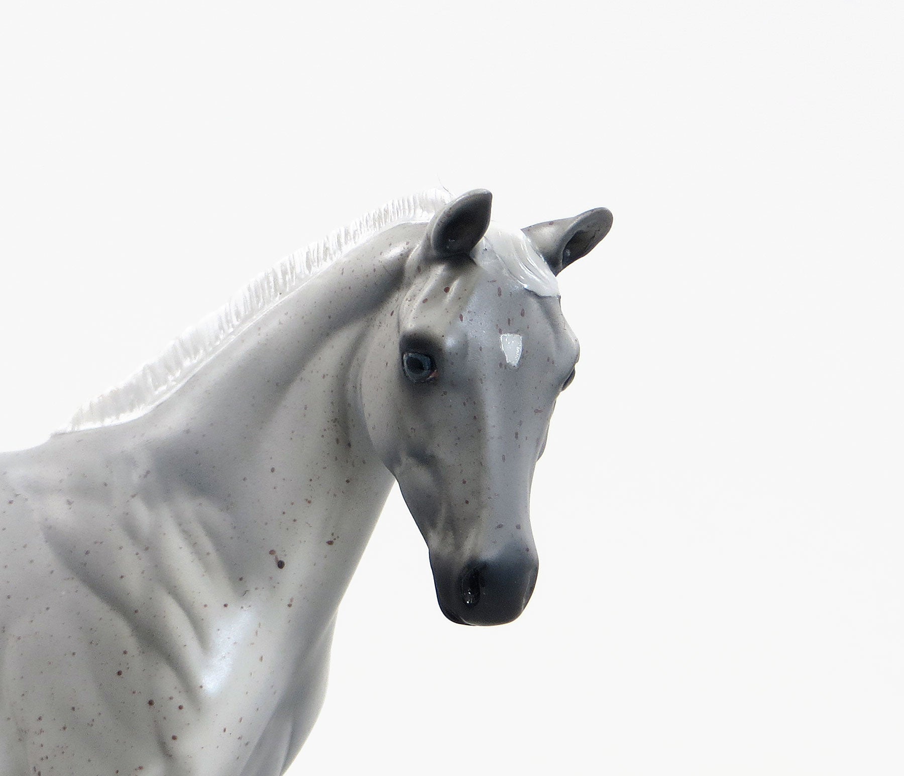 QUEEN ANNE&#39;S LACE - 2015 Limited Edition Flea Bitten Weanling 7/23