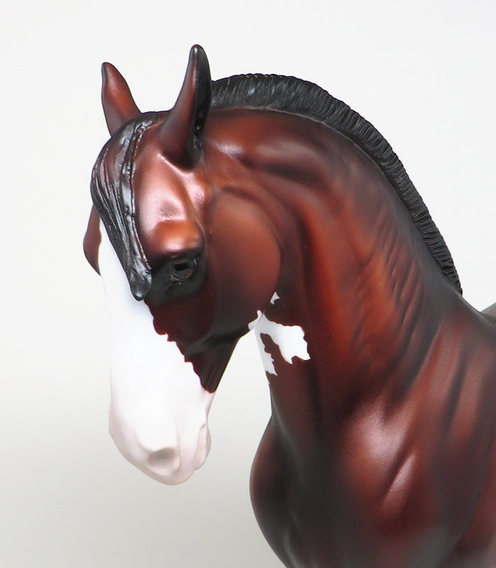 peter stone andalusian