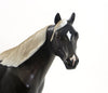 Model Stock Horse