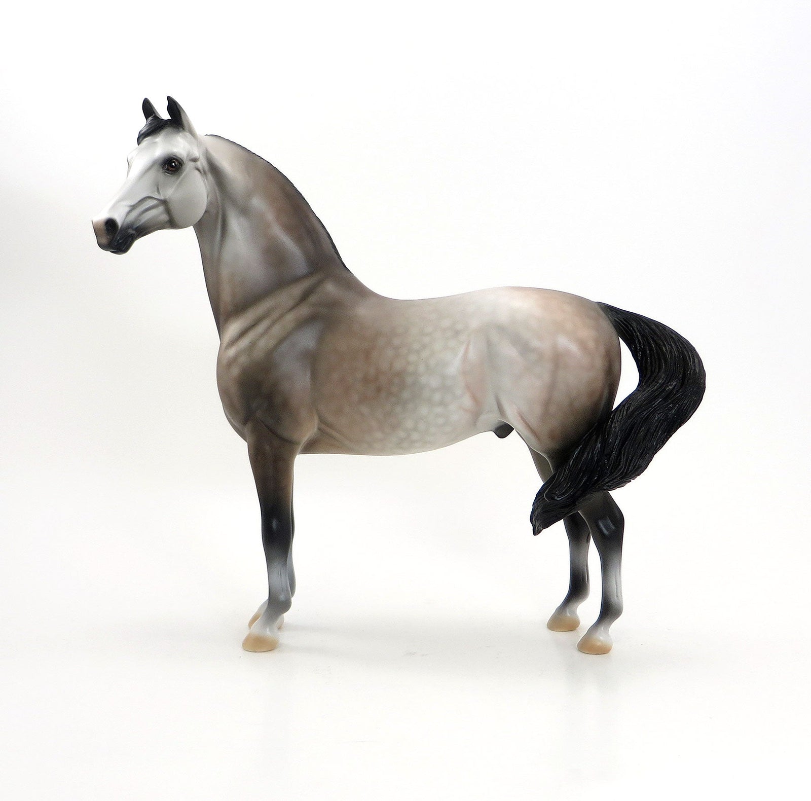 ROCKY - Dappled Rose Grey Morgan Model Horse - LE9 - EQ 2015 - 7/23
