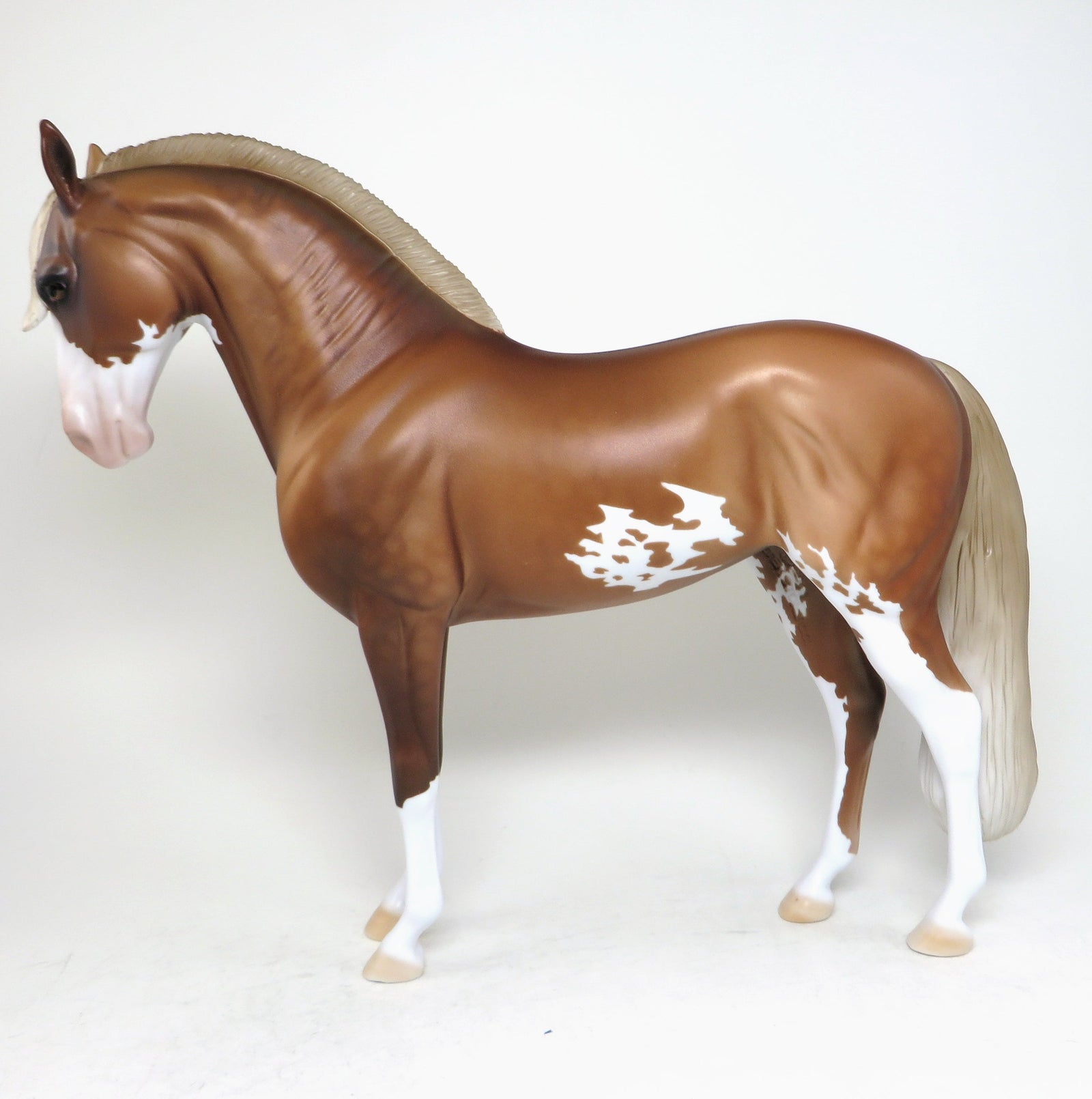 racine dapple chestnut andalusian