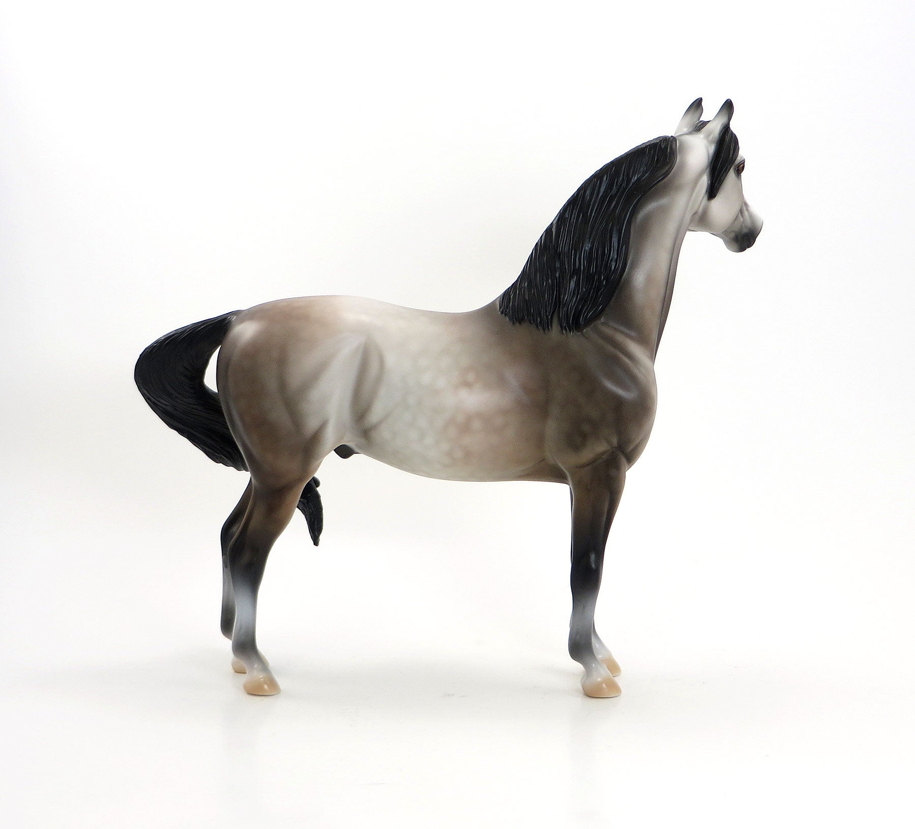 ROCKY - Dappled Rose Grey Morgan Model Horse - LE9 - EQ 2015 - 7/23