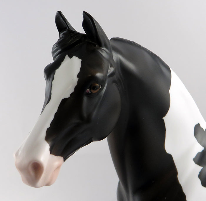 ATOMIC-LE-8-BLACK AND WHITE MORGAN  MODEL HORSE 9/13