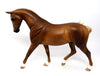 PONY