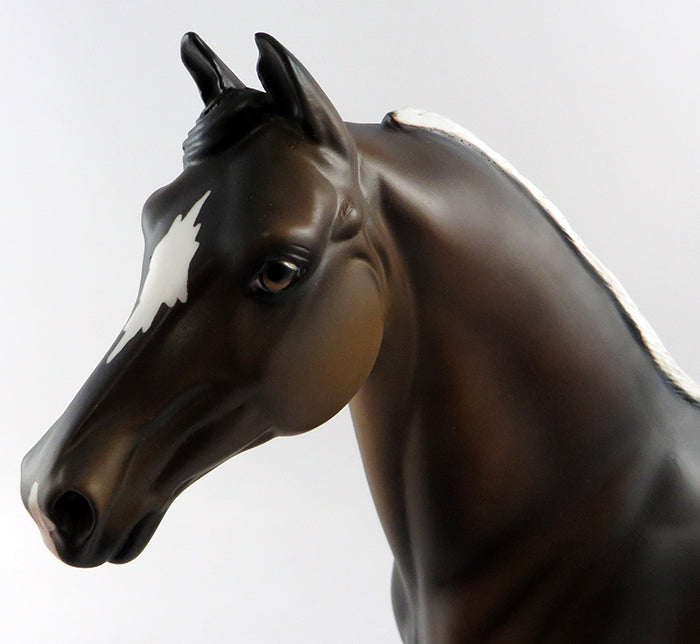 DAPPLE DAN-OOAK DAPPLE DUN MORGAN MODEL HORSE 10/12/16