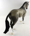 thoroughbred
