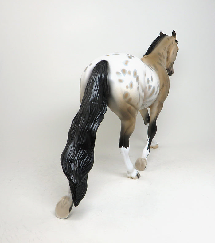 one of a kind appaloosa coyote creek