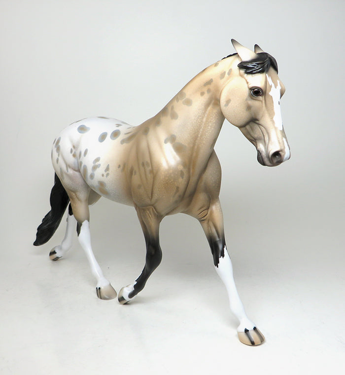 buckskin apaloosa