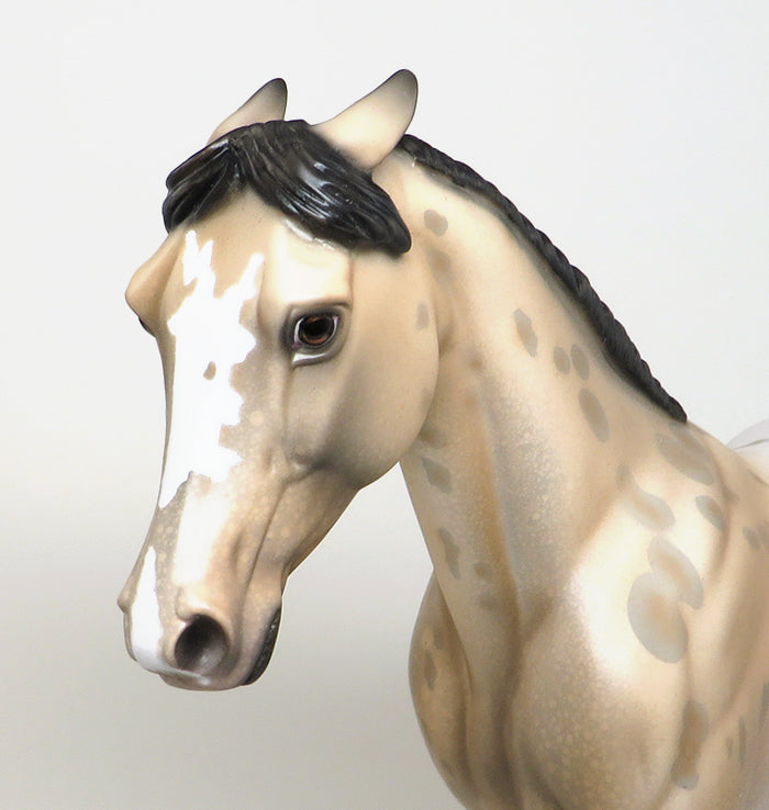 coyote creek model horse 