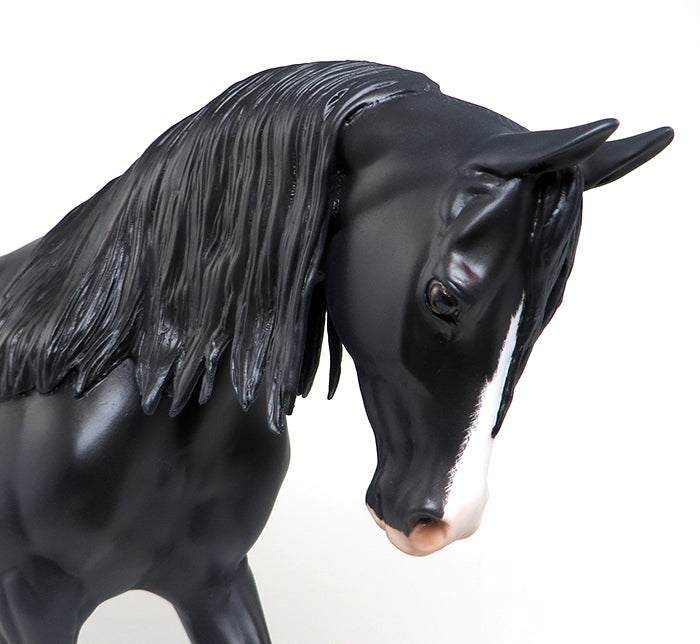 peter stone thoroughbred