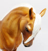 ANDALUSIAN
