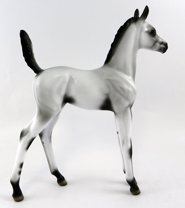 ENVY ME-OOAK VARNISH ROAN APPALOOSA FOAL MODEL HORSE 10/13/16