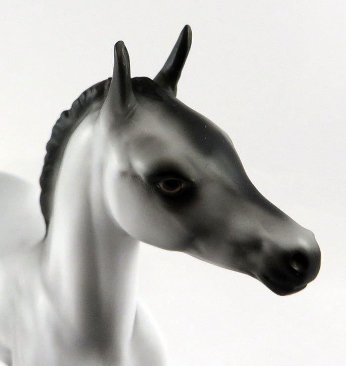 ENVY ME-OOAK VARNISH ROAN APPALOOSA FOAL MODEL HORSE 10/13/16