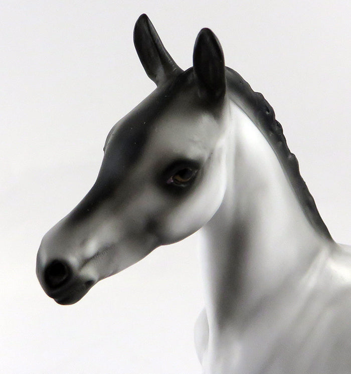 ENVY ME-OOAK VARNISH ROAN APPALOOSA FOAL MODEL HORSE 10/13/16