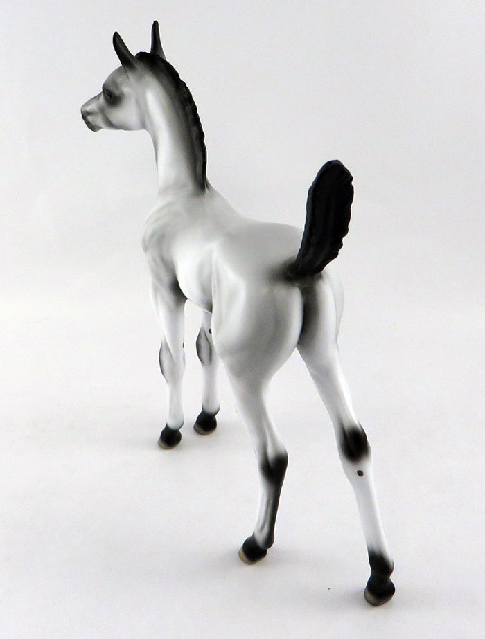 ENVY ME-OOAK VARNISH ROAN APPALOOSA FOAL MODEL HORSE 10/13/16